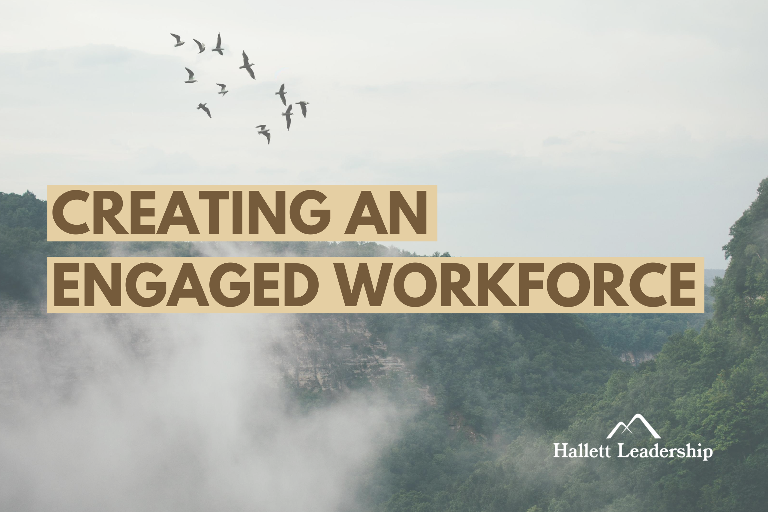 Creating An Engaged Workforce