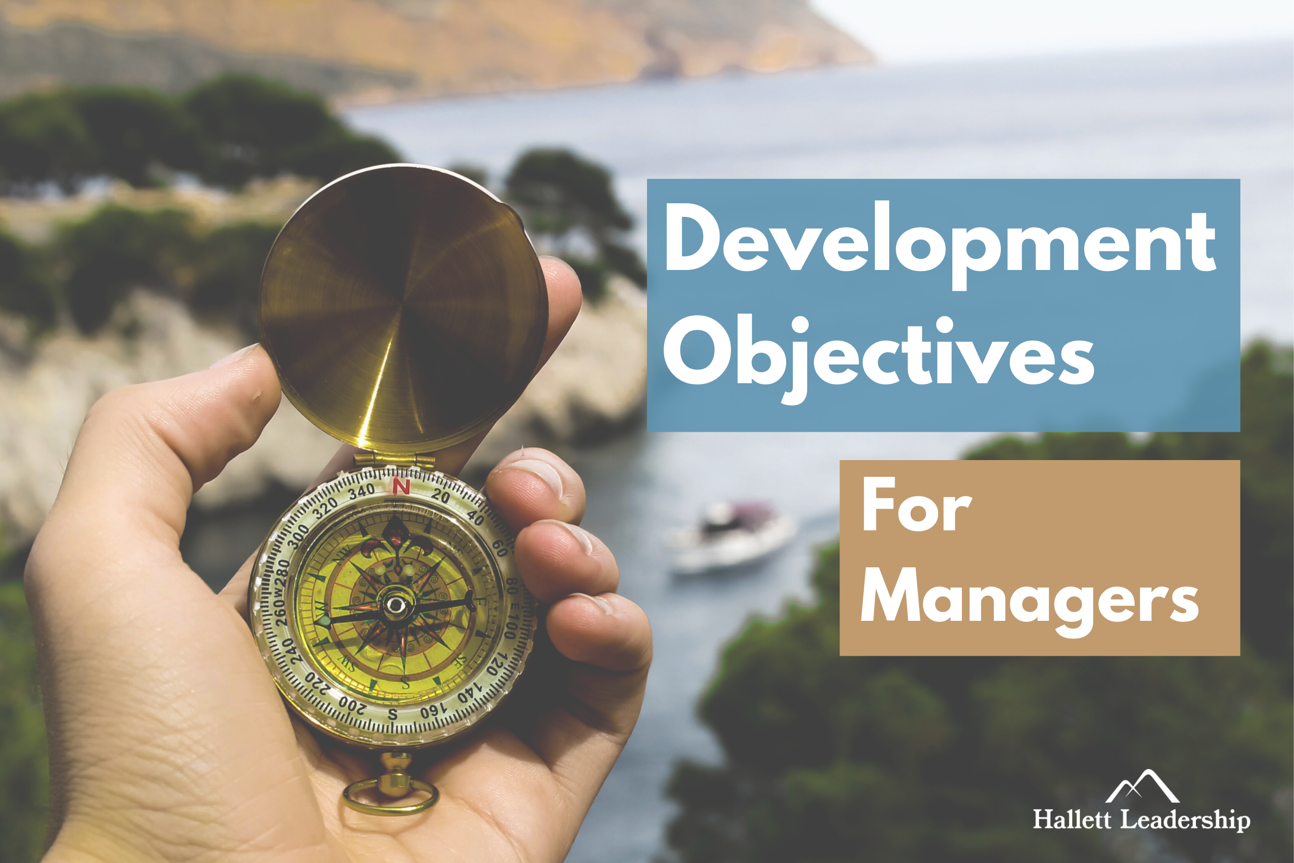 development objectives for managers