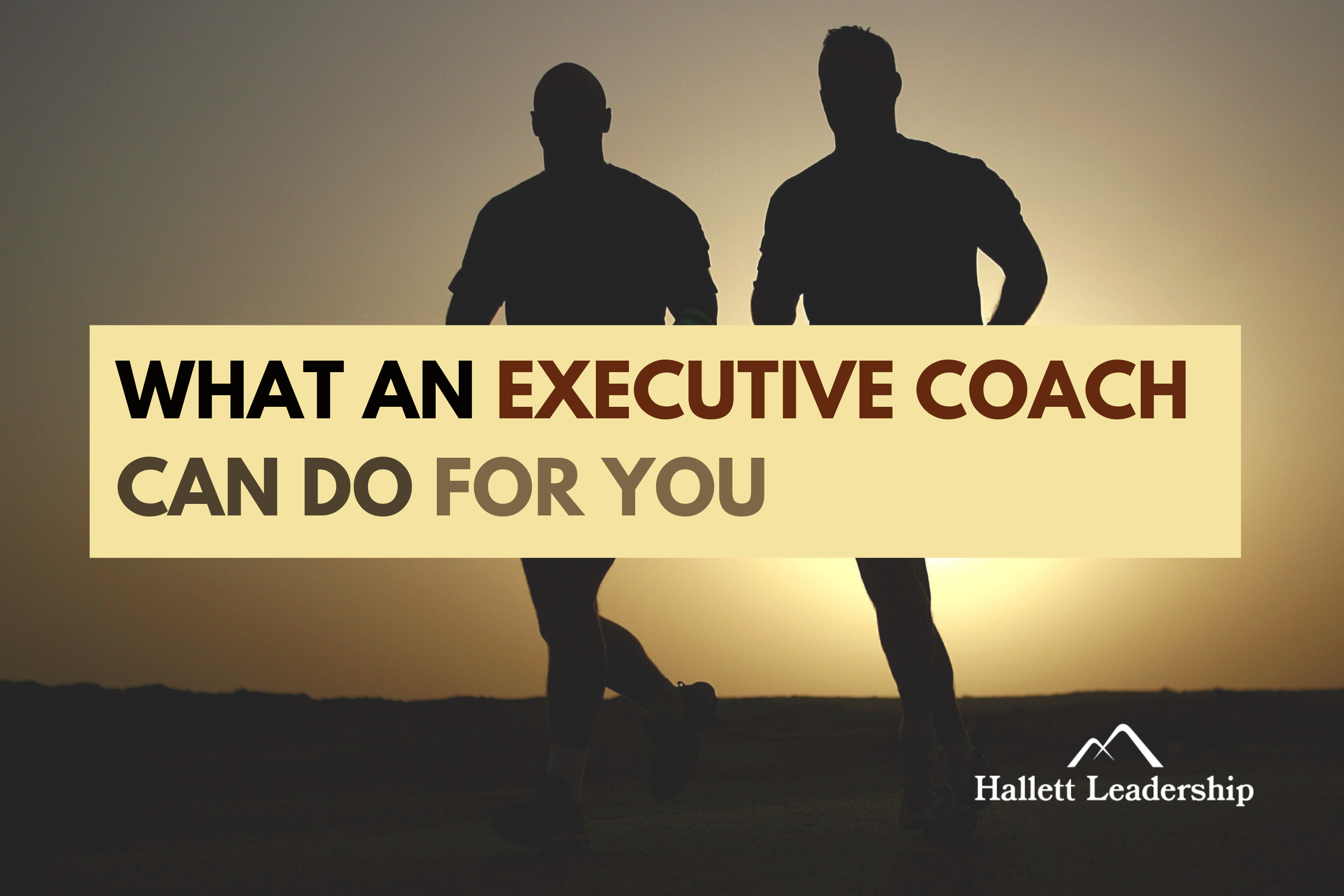 What Does An Executive Coach Do