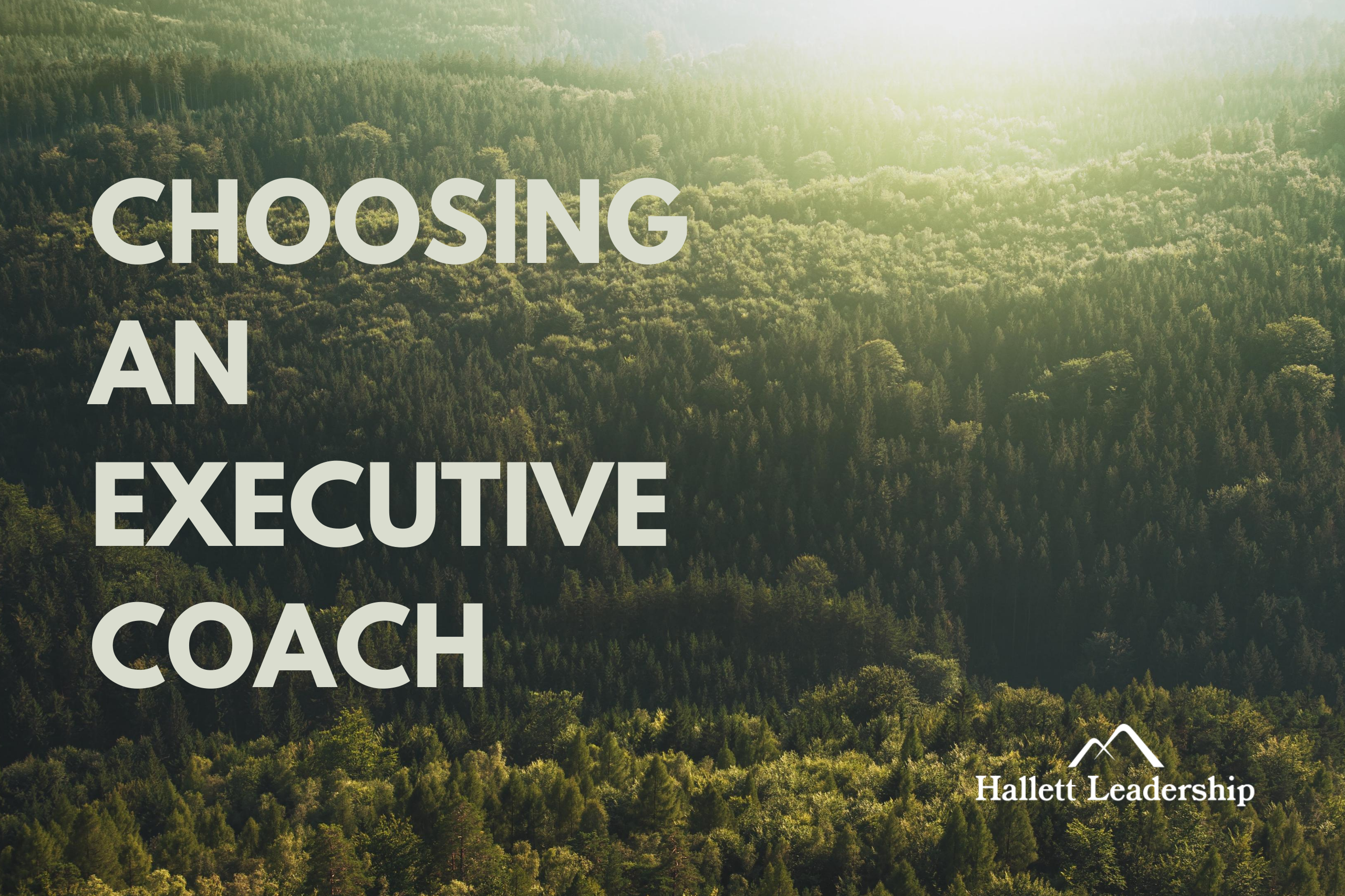 How To Select An Executive Coach