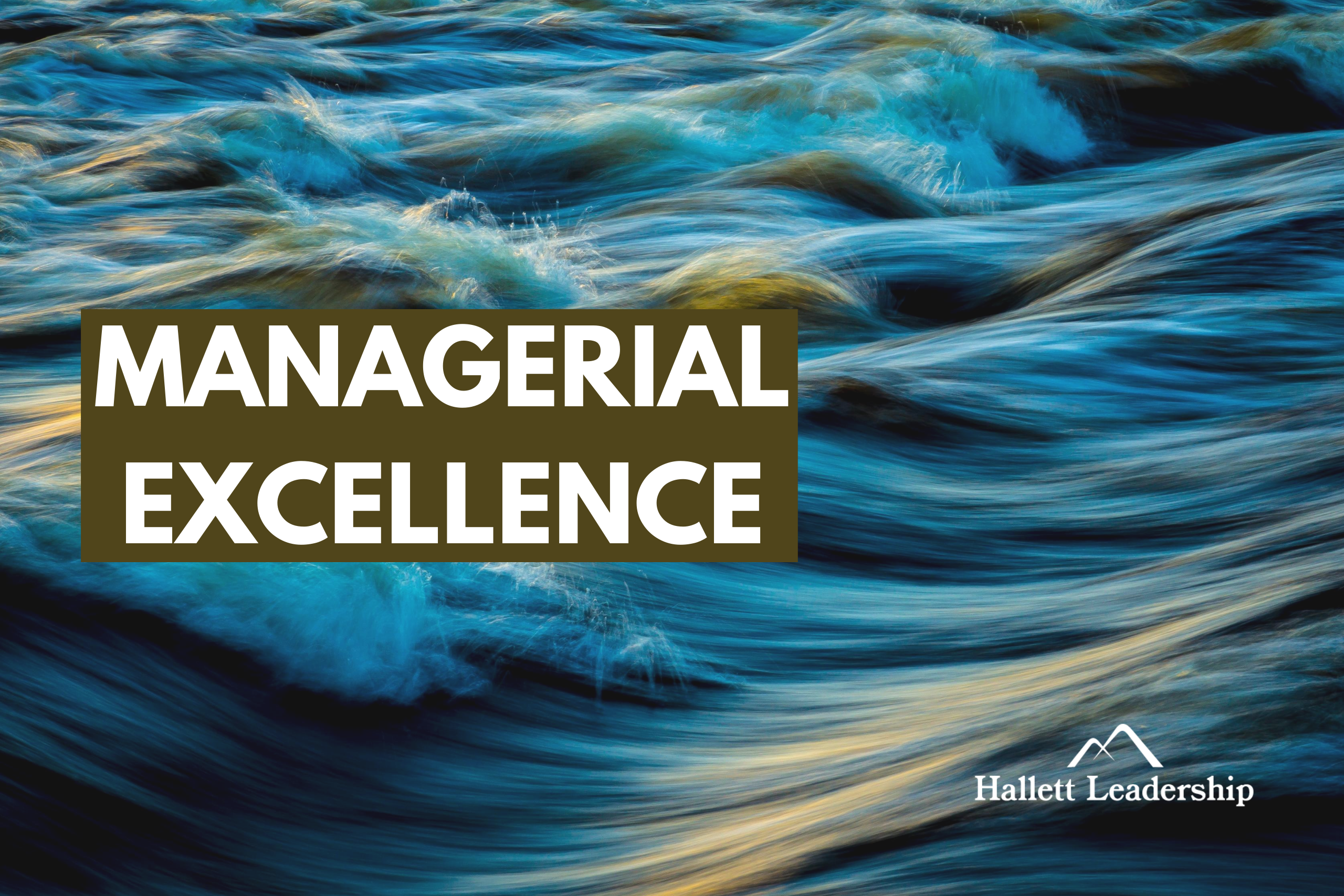 Middle Management Excellence
