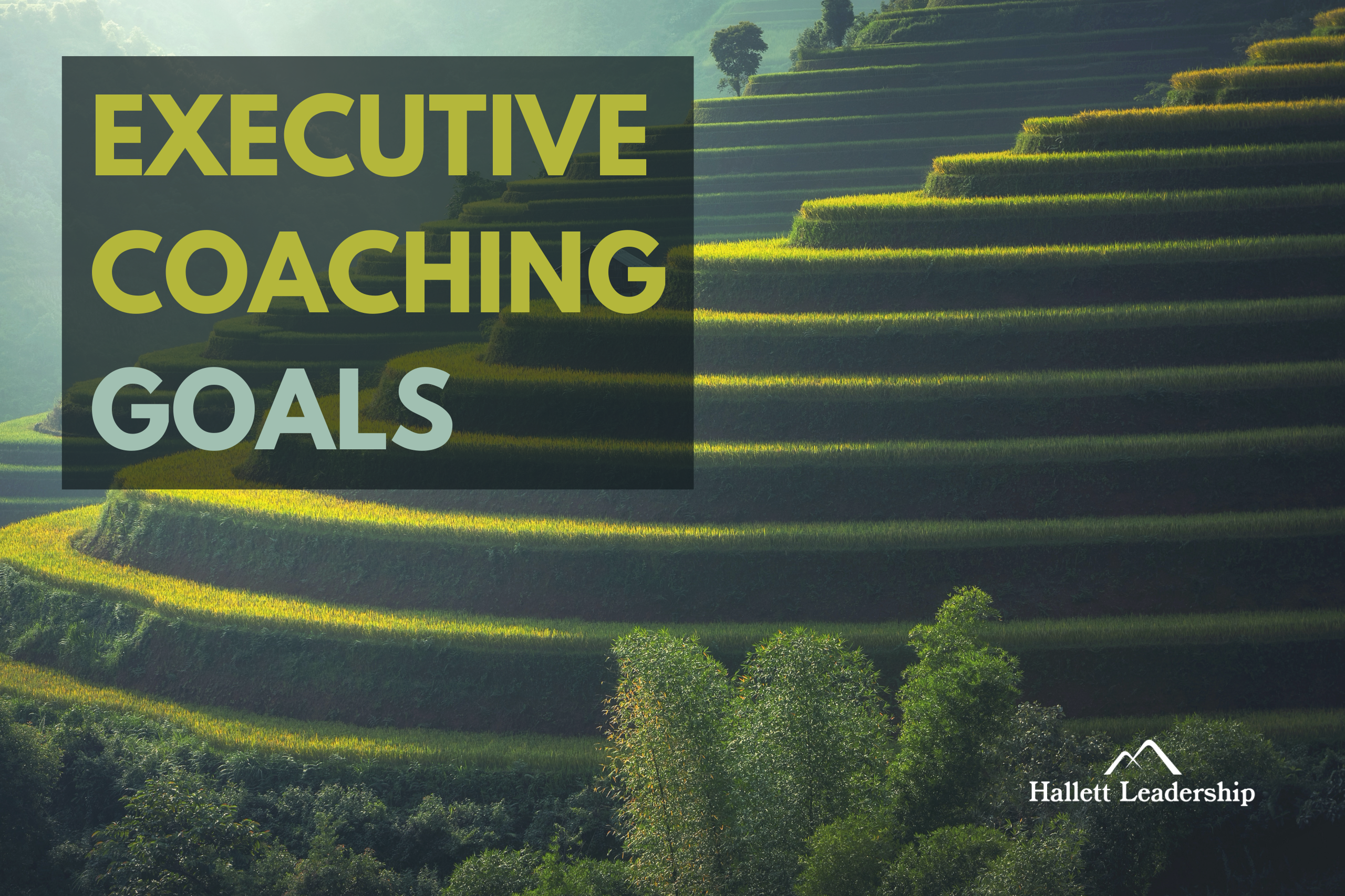 Executive Coaching Development Goals