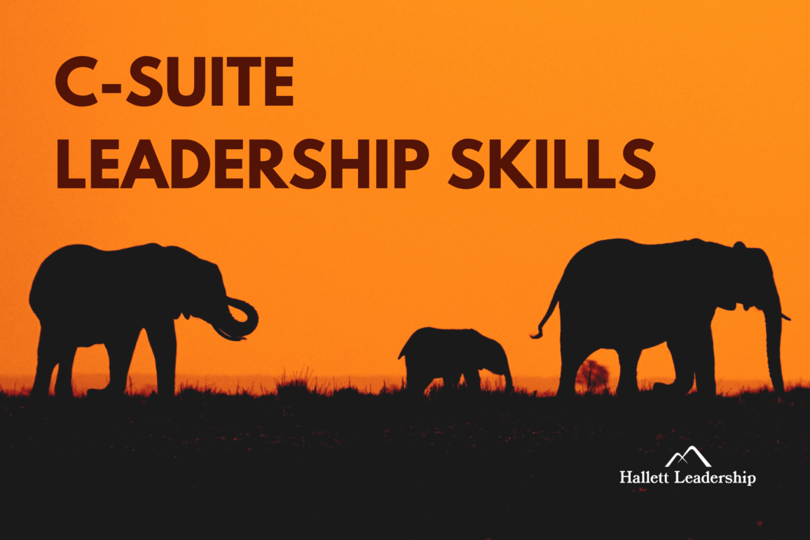C-Suite Leadership Skills