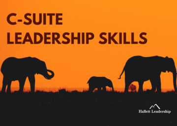 C-Suite Leadership Skills