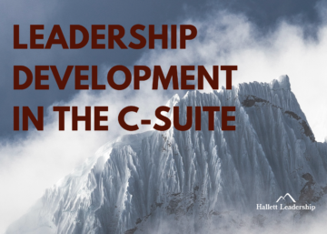 C-Suite Leadership Development