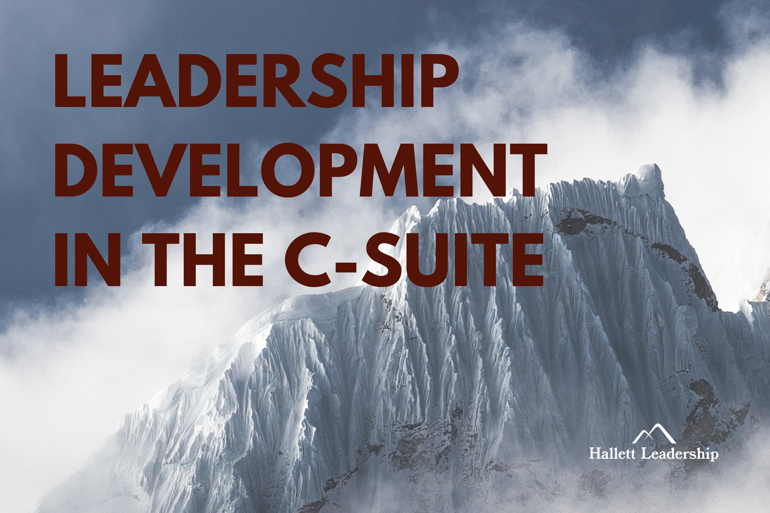 C-Suite Leadership Development
