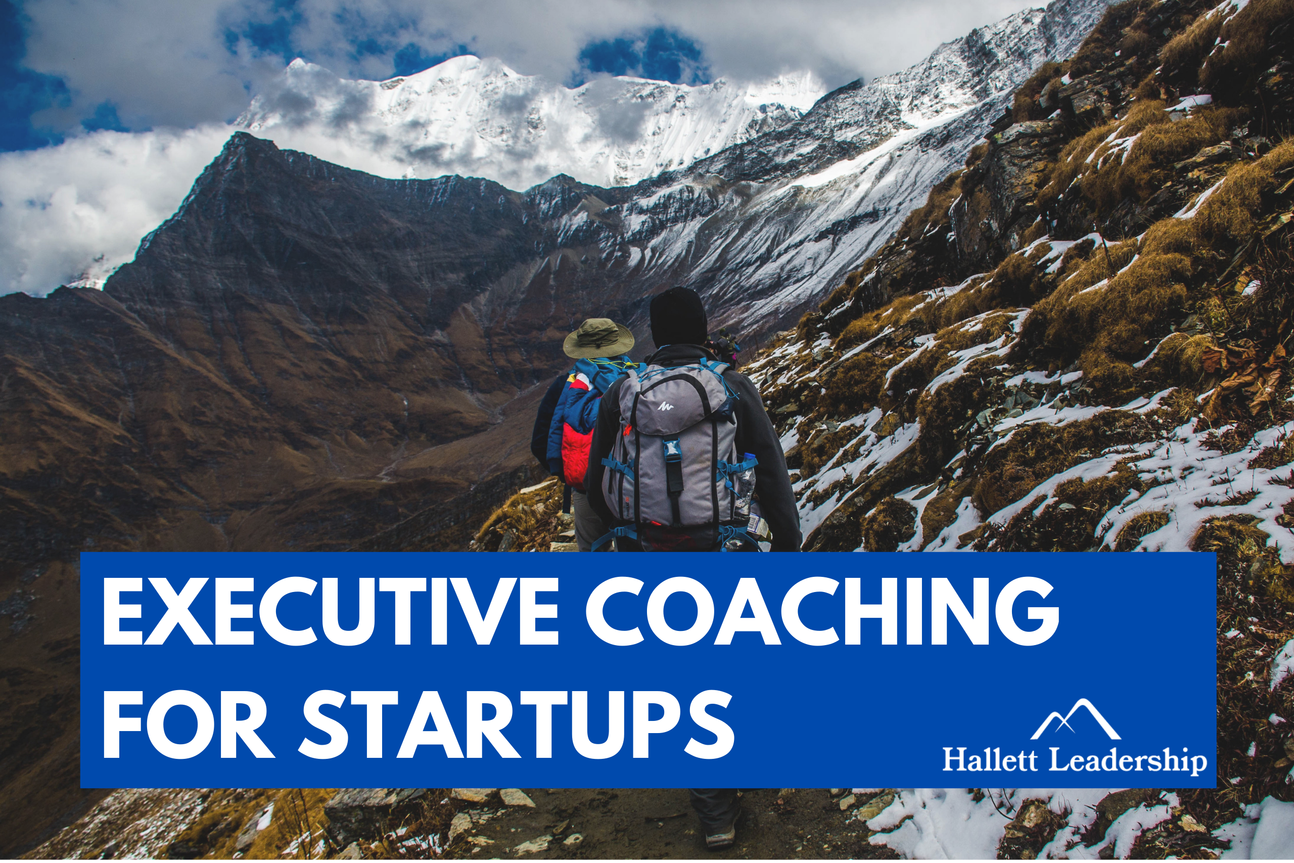 Executive Coaching for Startups