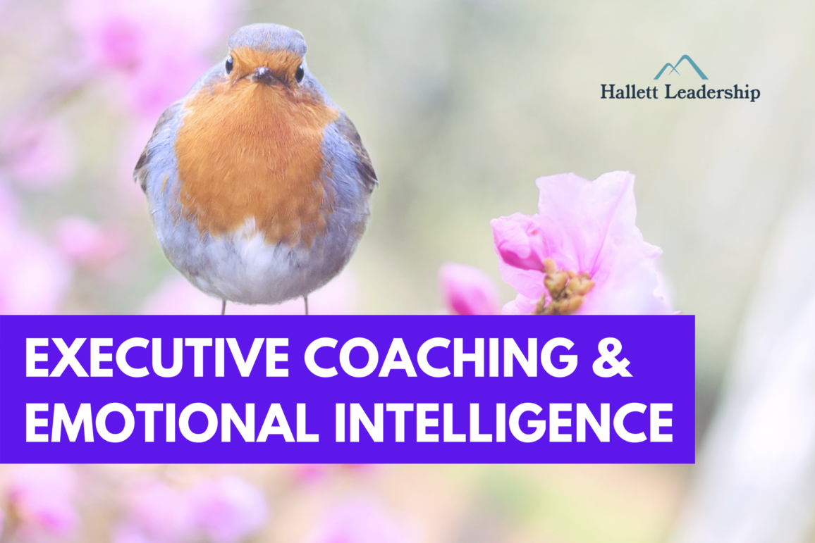 Executive Coaching Emotional Intelligence