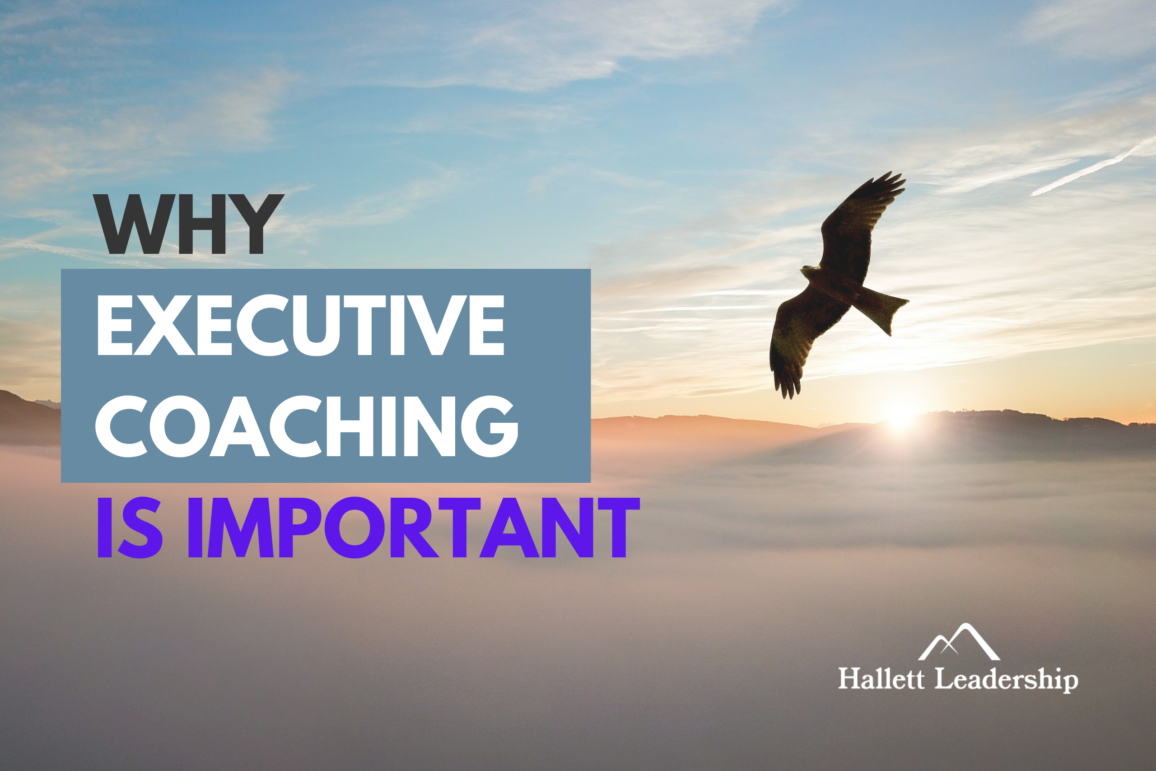 Why Executive Coaching Is Important