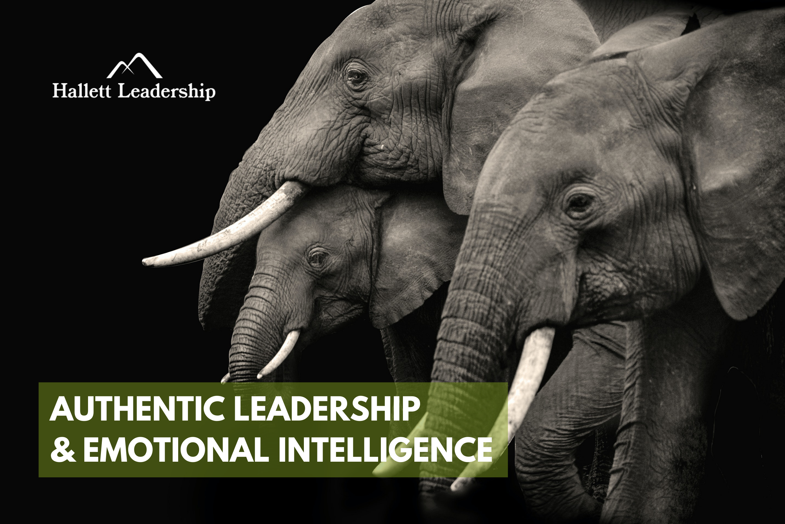Authentic Leadership and Emotional Intelligence