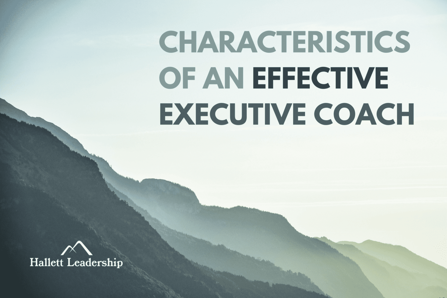 Characteristics Of An Effective Executive Coach What To Look For