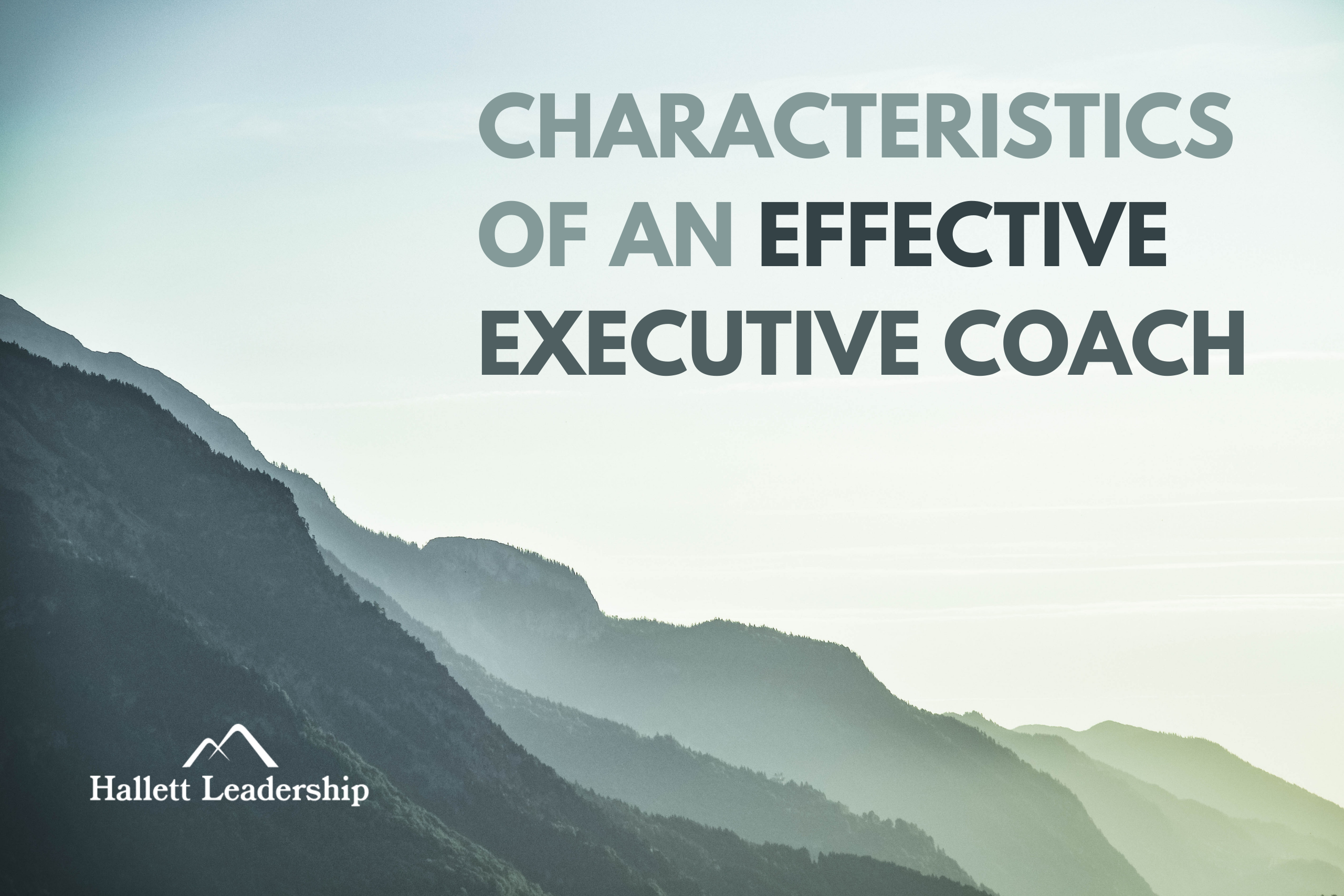 Characteristics of an Effective Executive Coach